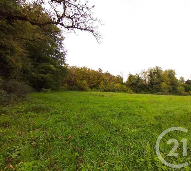 terrain à vendre - 4890.0 m2 - MAURENS - 24 - AQUITAINE - Century 21 Immotion